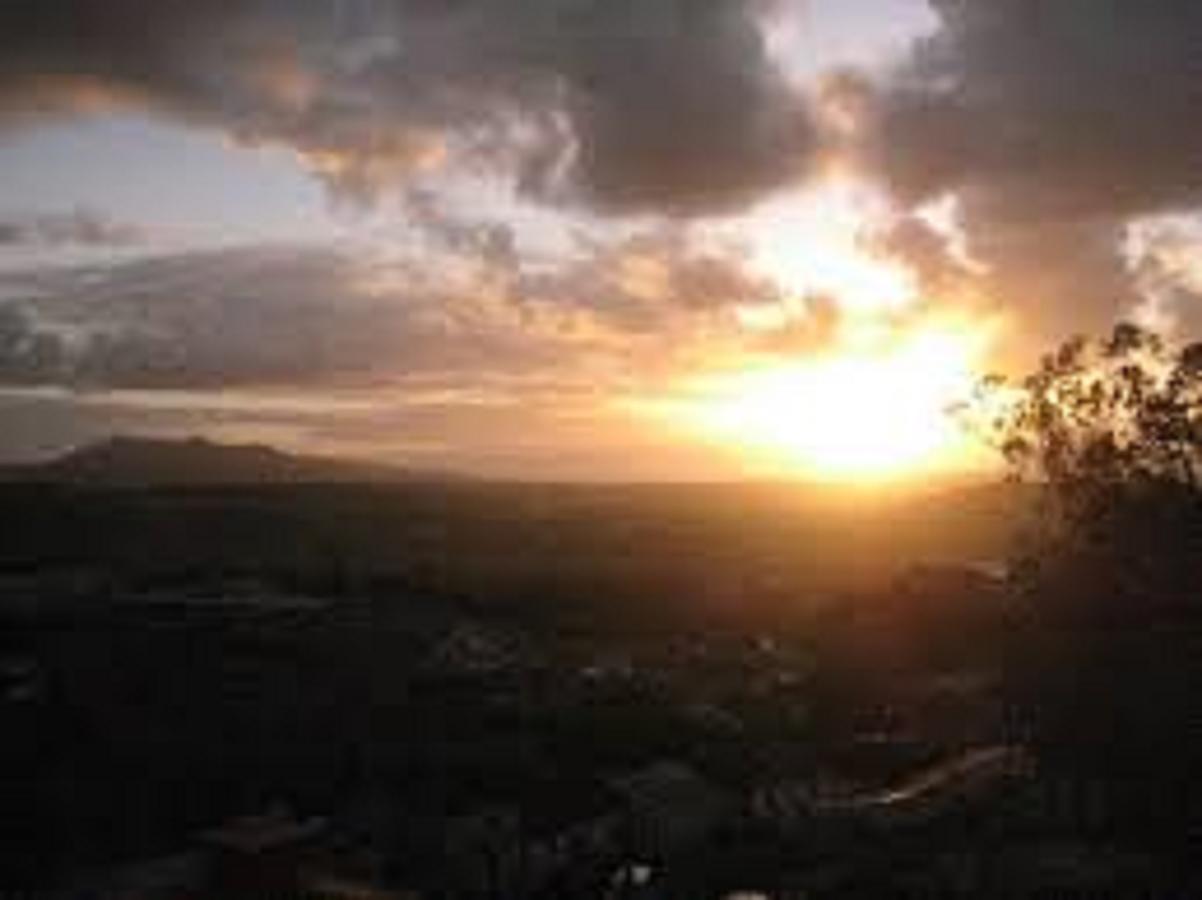 ホテル Shepinetree - Pinheira Vale de Lobos エクステリア 写真
