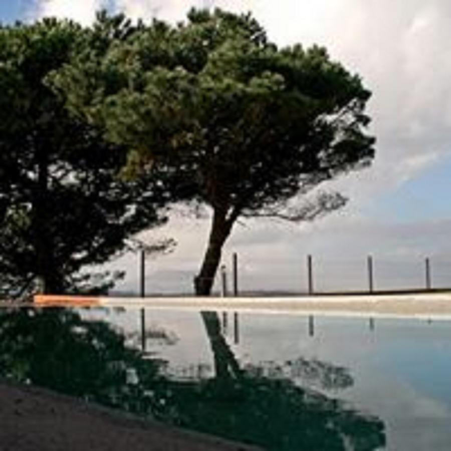 ホテル Shepinetree - Pinheira Vale de Lobos エクステリア 写真